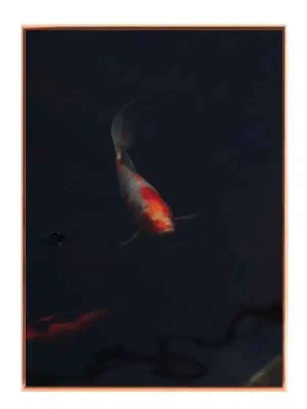 A169