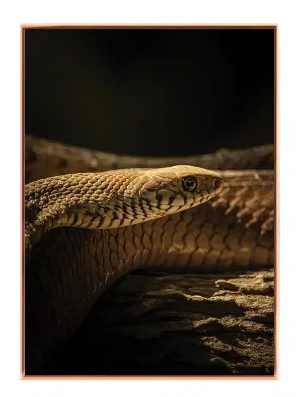 A195