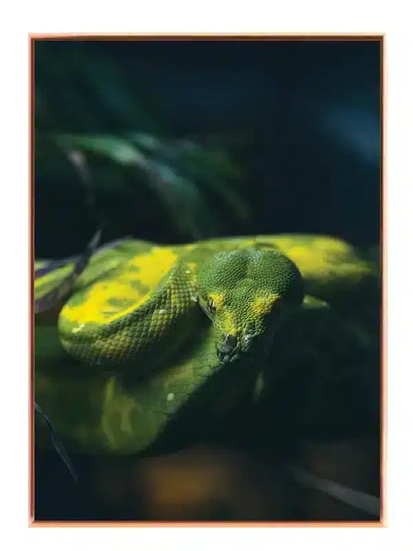A239