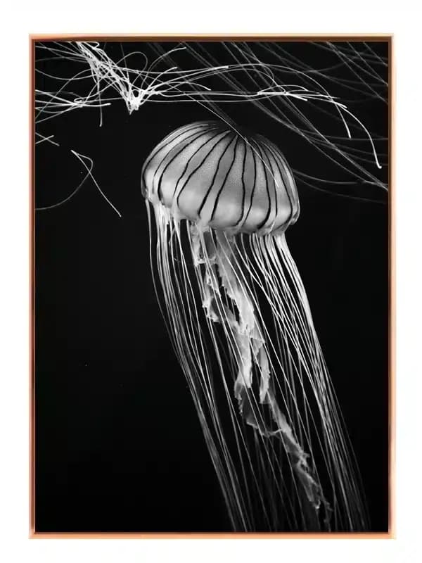 A272