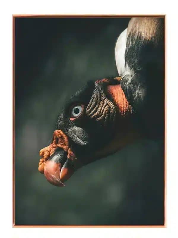 A31