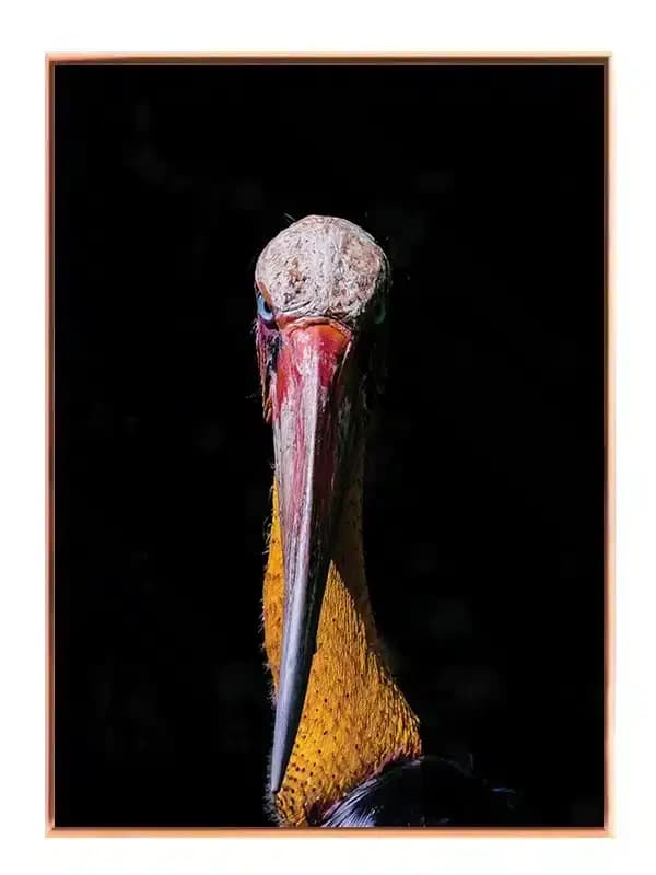 A63