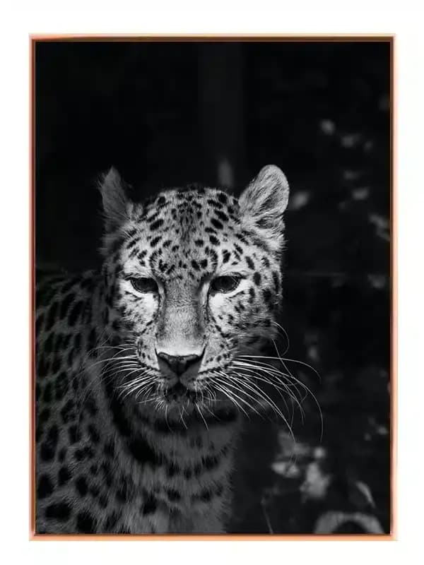 BW20