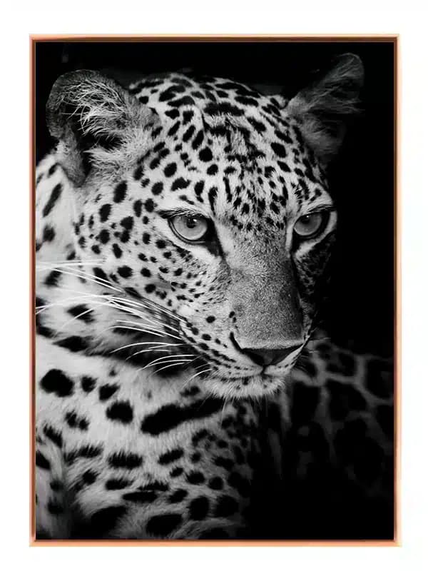 BW43
