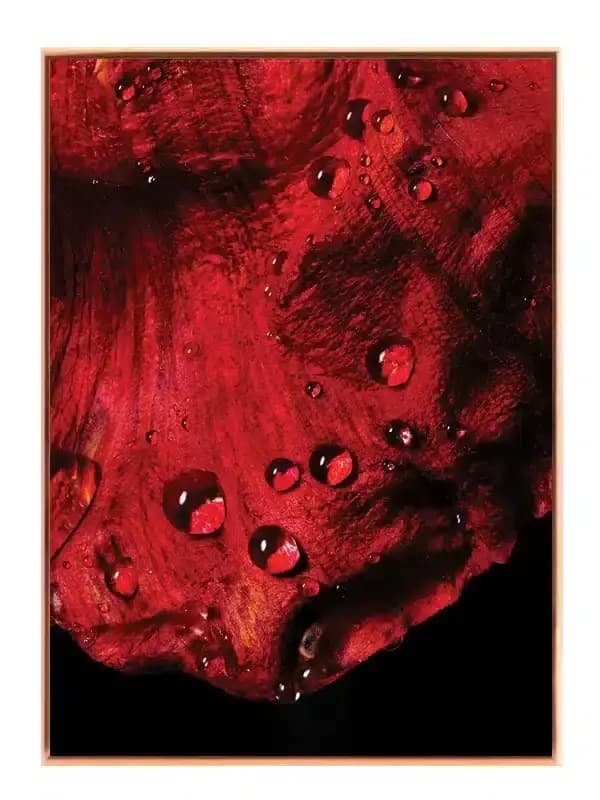 N105