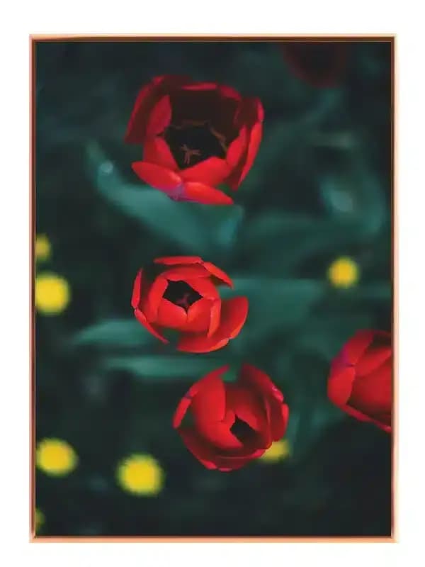 N295