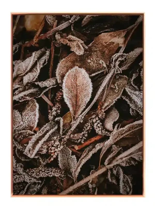 N38