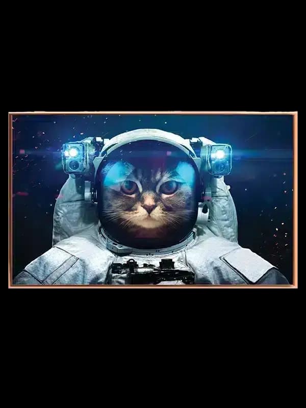 Grafisk Kat i Astronautdragt