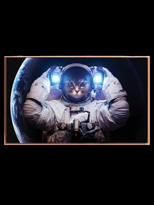 Astronautkat med Jorden Bagved