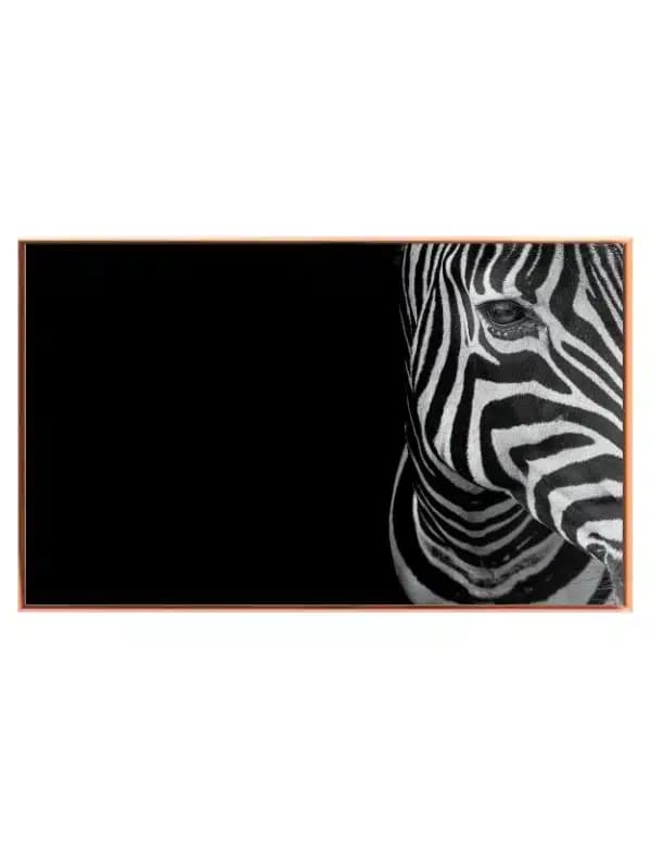 Zebra Portræt i Sort