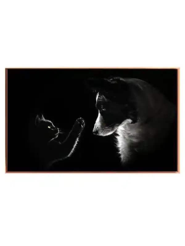 Kat og Hund i Mørke