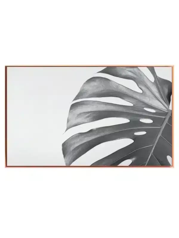 Monstera Blad i Gråtoner