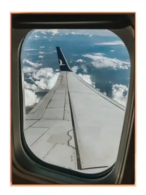 View From Airplane Window