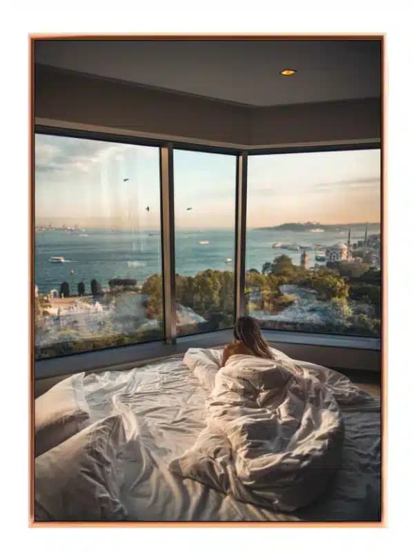 Morning View From Cozy Room
