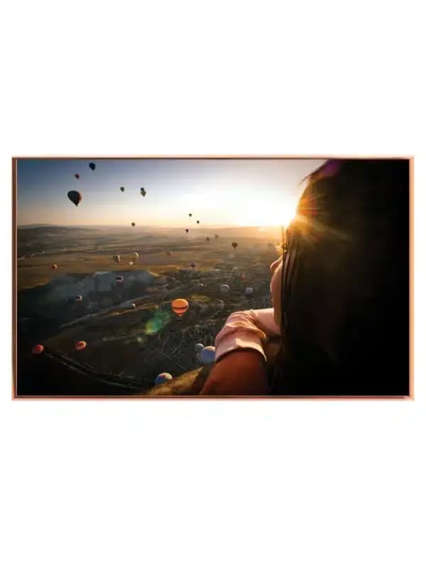 Person Watching Hot Air Balloons
