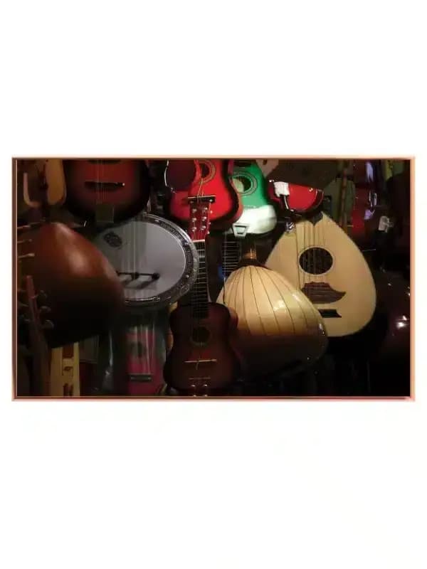 Collection Of Traditional String Instruments