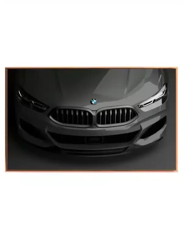 BMW Forfra Ekspertise