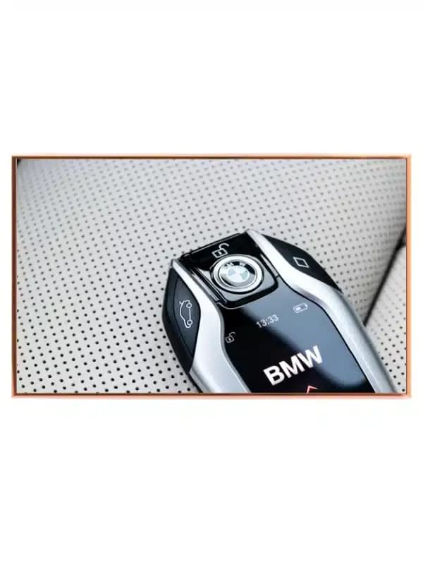 BMW Bilnøgle Funktioner