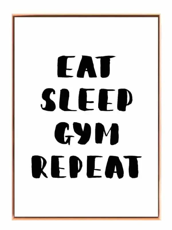 Spis Sov Gym Gentag Plakat