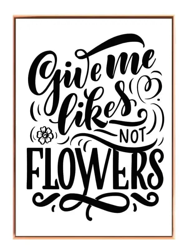 Giv Mig Likes Ikke Blomster Plakat
