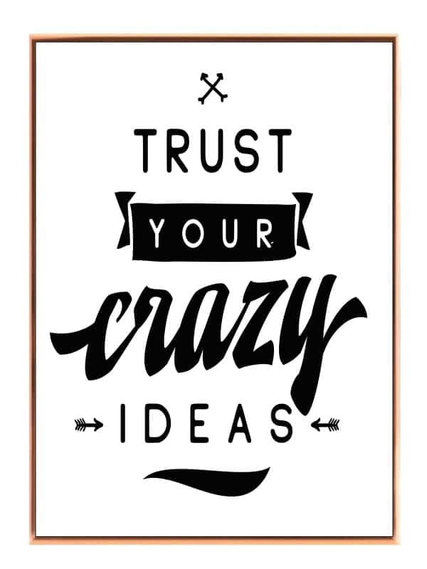 Trust Your Crazy Ideas Plakat