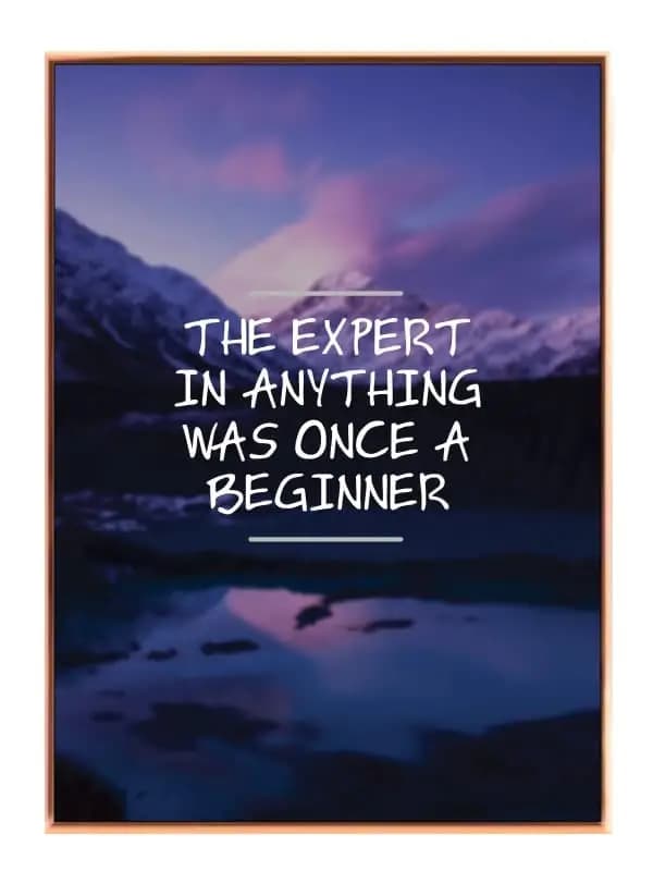 Ekspert Begynder Motiverende Plakat