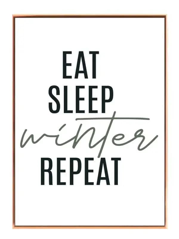 Eat Sleep Winter Plakat