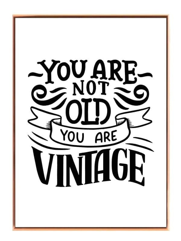 Du Er Vintage Plakat