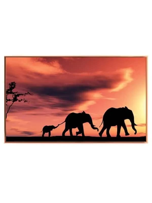 Elephant Family I Plakat