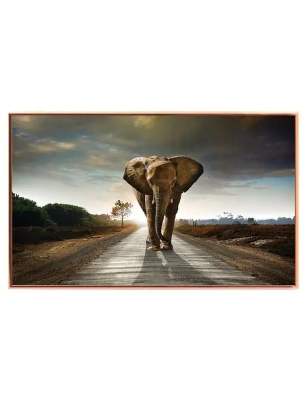 Elephant At Dusk Plakat