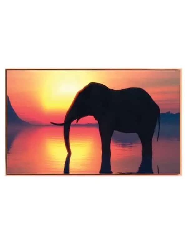 Elephant At Sunset Plakat