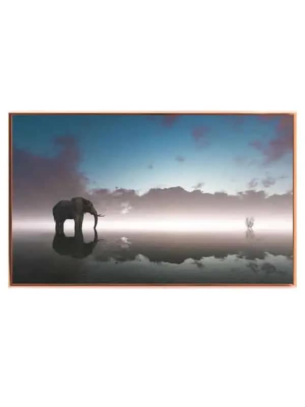 Elephant Reflection Plakat