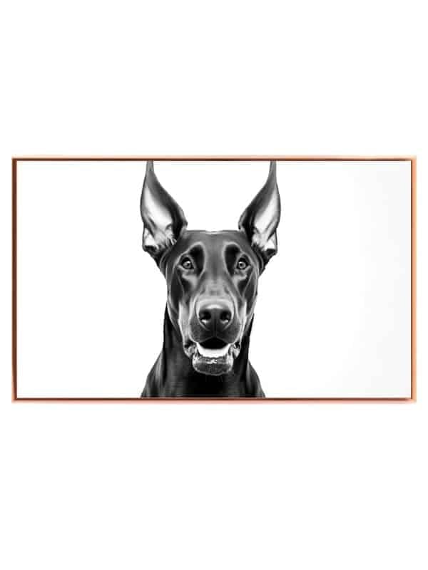 Hund Doberman Plakat