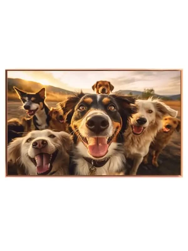 Happy Dogs Plakat