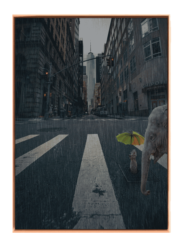 Playful Elephant Rainy Adventure Plakat