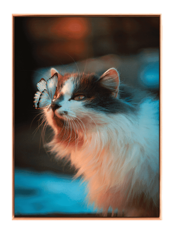 Gentle Cat With Butterfly Plakat