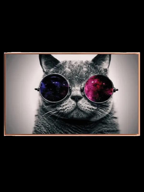 Curious Cat In Cosmic Glasses Plakat
