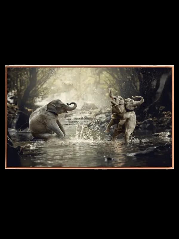 Playful Baby Elephants Splash Plakat