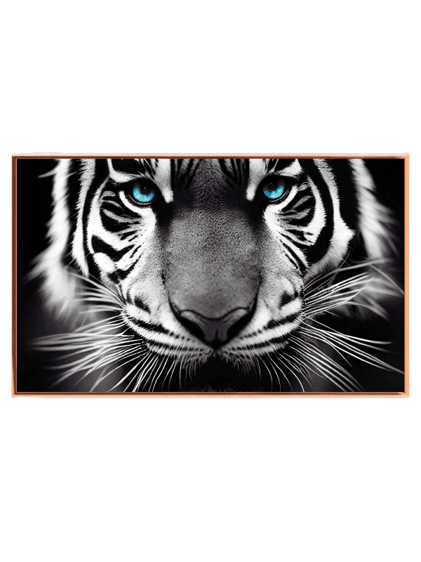 Curious Tiger With Blue Eyes Plakat