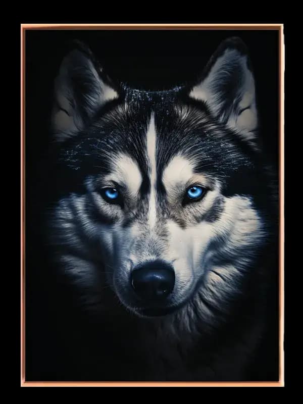 Husky Close Plakat