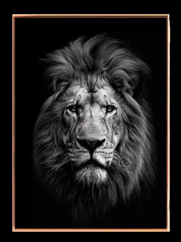 Lion Head Plakat