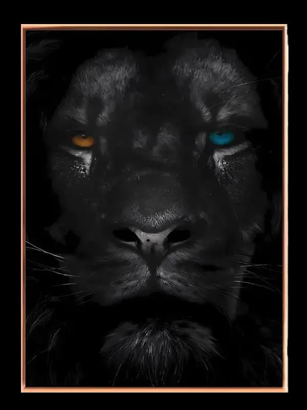 Black Lion Close Up Plakat