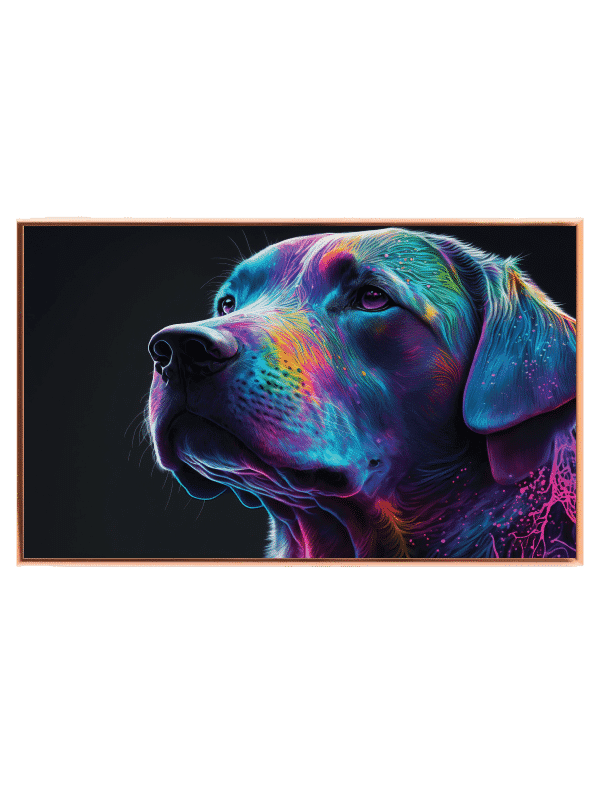 Labrador Retriever Plakat