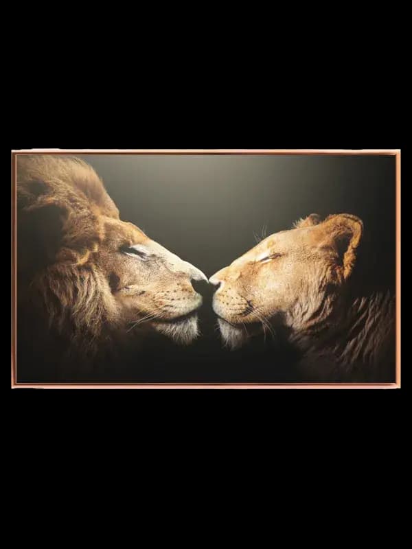 Lion Intimate Moment Plakat