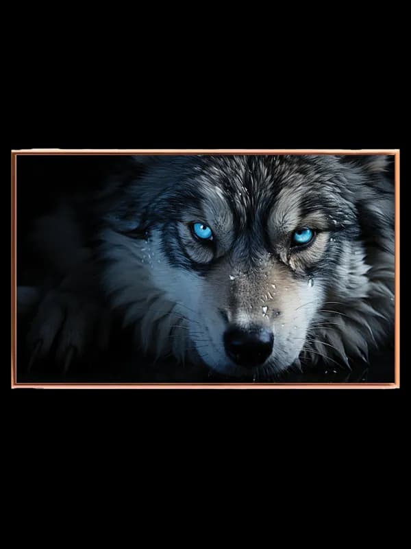 Wolf With Blue Eyes Plakat