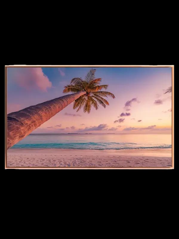 Palme ved Solnedgang Plakat