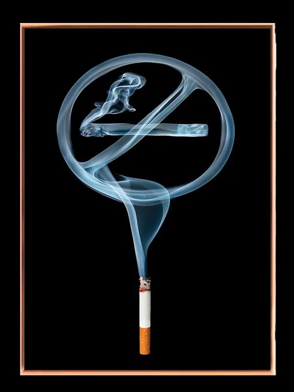 No Smoking Symbol Plakat