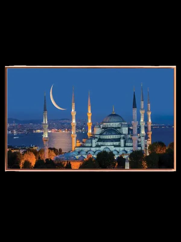 Istanbul Nighttime Mosque View