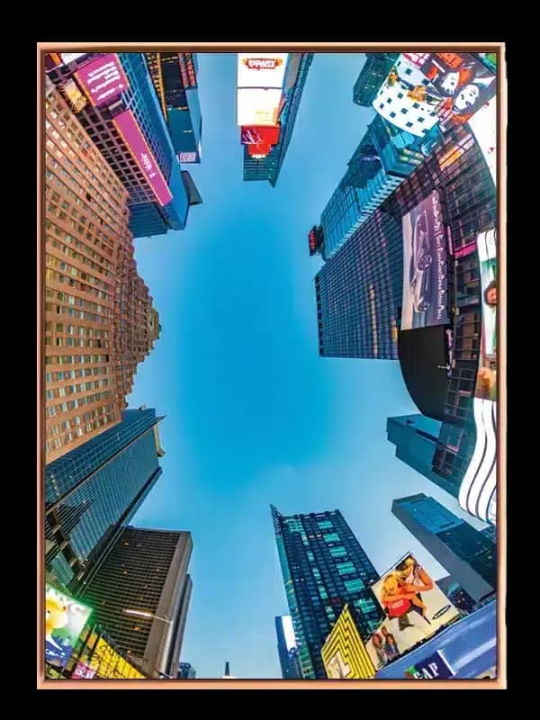New york – Cold Pressure