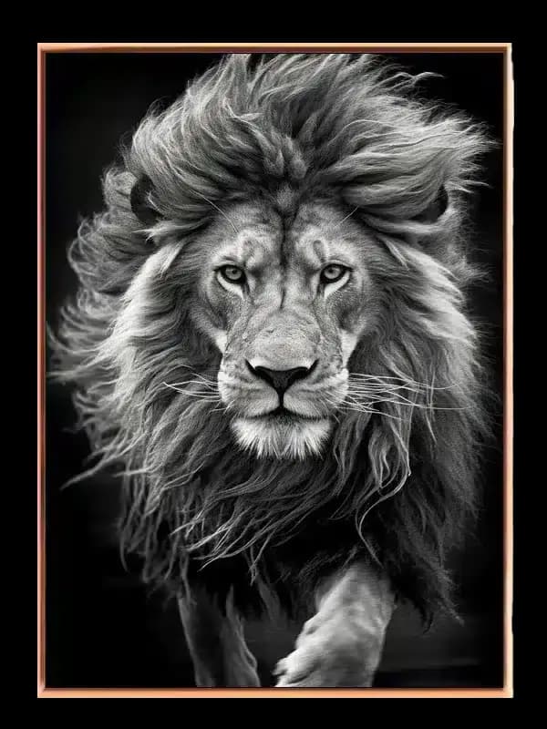 Lion Portrait III Plakat